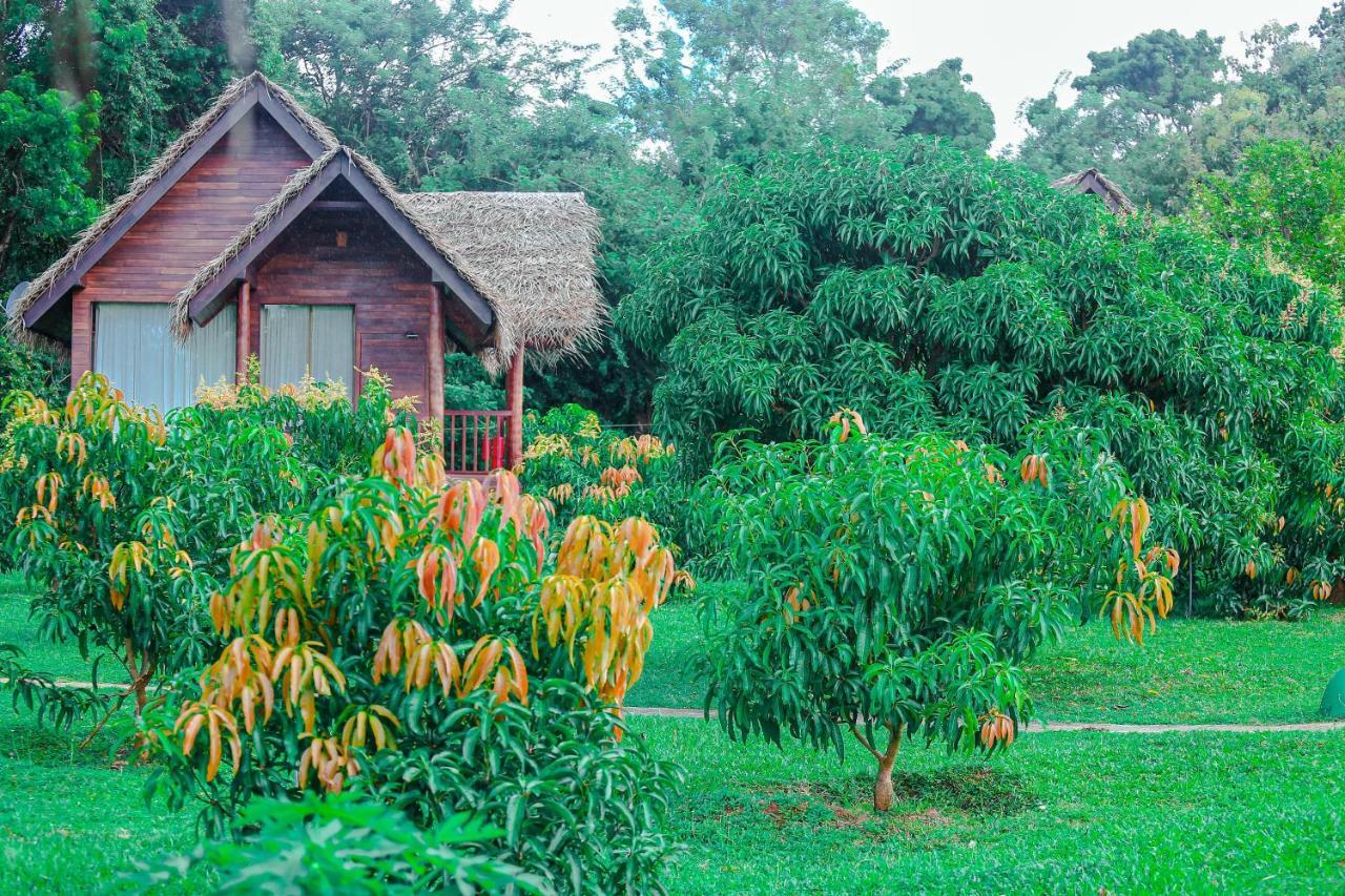 Sigiriya Water Cottage Exterior foto